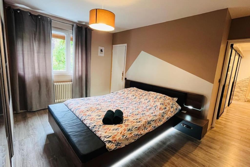 Appartement Proche Centre Ville Avec Parking Gratuit آنسي المظهر الخارجي الصورة